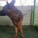 봉화정비공장 이미지