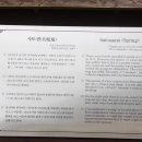 사또샘 이미지