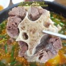 장수꼬리곰탕 이미지