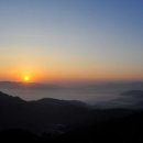 백년관광농원 야영장 | 2014년에 만난 아름다운 길과 자연의 풍경