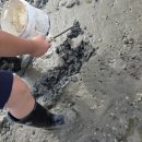 바닷가하얀집 | 인천 갯벌체험 드무리 마레블루 해변 영흥도 바닷가 펜션