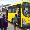 33 전남일보