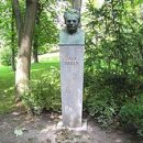 바이올린 (A) 이미지