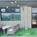 플럼블라썸 이미지