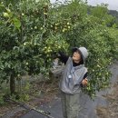 양수농원 이미지