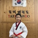 팀 포인트 태권도장 이미지