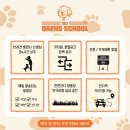 902댕스쿨 | 내 돈 내고 보낸 동두천 902댕스쿨 애견유치원 후기!