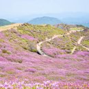 황매산 숲속야영장 이미지