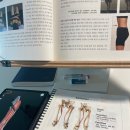 (주)더메이트 이미지