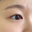 윤스리에 | 명지 속눈썹펌 잘하는 곳 윤스리에 리얼후기
