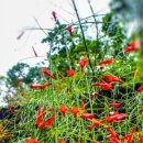 정도합기도 이미지