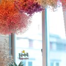 라센느디자인 이미지