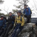 서천초등학교 이미지