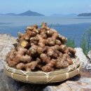 으뜸울금농장 이미지