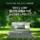 어싱플러스컴퍼니 네이버블로그