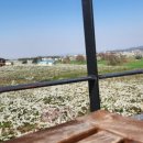 대승목장 이미지