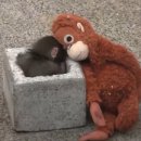 크로스핏 삼손 이미지