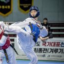 서울경희대태권도체육관 이미지