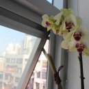 오창당구장 이미지