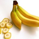 바나나동물병원 이미지