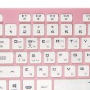 분홍고양이 이미지