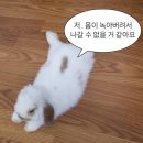 명인약손힐링쎈타 | 참약손지압힐링센터 맛-사지 후기
