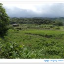 왕신3리 이미지