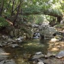 코끼리캠핑장 이미지