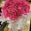 화도왕오리 | 내 인생 페스티벌 (青岛啤酒节/청도맥주축제) 폐막식 후기
