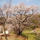 지개천 이미지