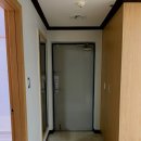 디자인보