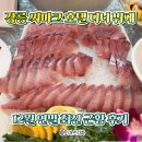 서12-406 | 강릉 씨마크 호텔 디너 연말 뷔페 가격 최신 근황 후기