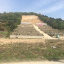 신천개발 이미지