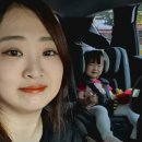 자연 애개 이미지