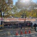 장가네홍천한우농장 | 홍천 | 사과, 인삼, 한우까지? 하나의 축제에 3종 세트~! &#34;2025년 홍천 사과인삼한우 축제&#34; 솔직 후기