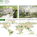 마곡중앙3로 이미지