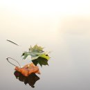 한마음자동차공업사 이미지