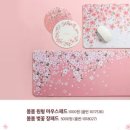 다이소 대구안지랑점 이미지