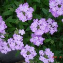 성남고등학교 이미지