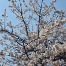 해뜨는집 이미지