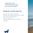 네발로갈때까지 이미지