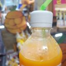 삼돌이농원감귤주스