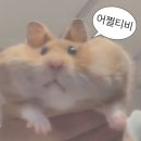 말랑말랑 이미지