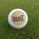 애플밸리 컨트리클럽 이미지