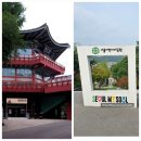 I.C 카페(처인구점) | 어린이대공원 키즈카페 팔각당 실내 놀이터 카페 서울형 키즈카페 비오는날 실내 아이랑 내돈내산 후기