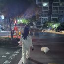 할렘가뽑기 이미지