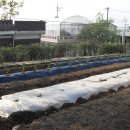 성덕농장 이미지