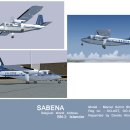 네이비씰 최신 도색 시리즈.. (PMDG Beech 1900C &amp; BN-2 Islander) 이미지