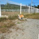 봉구하우스 이미지