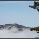 단비농장 이미지